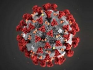 Imagem do coronavirus ampliada